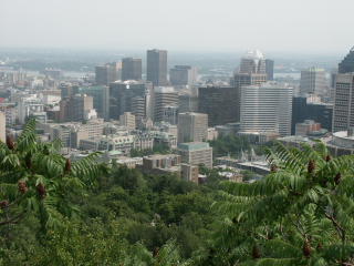 [View from Mont
Royal on Montreal]